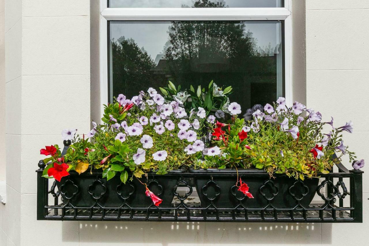Cyprus View Apartment Belfast Extérieur photo